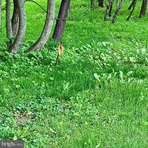 Property Photo: 0 Leisczs Bridge Road PA 19605