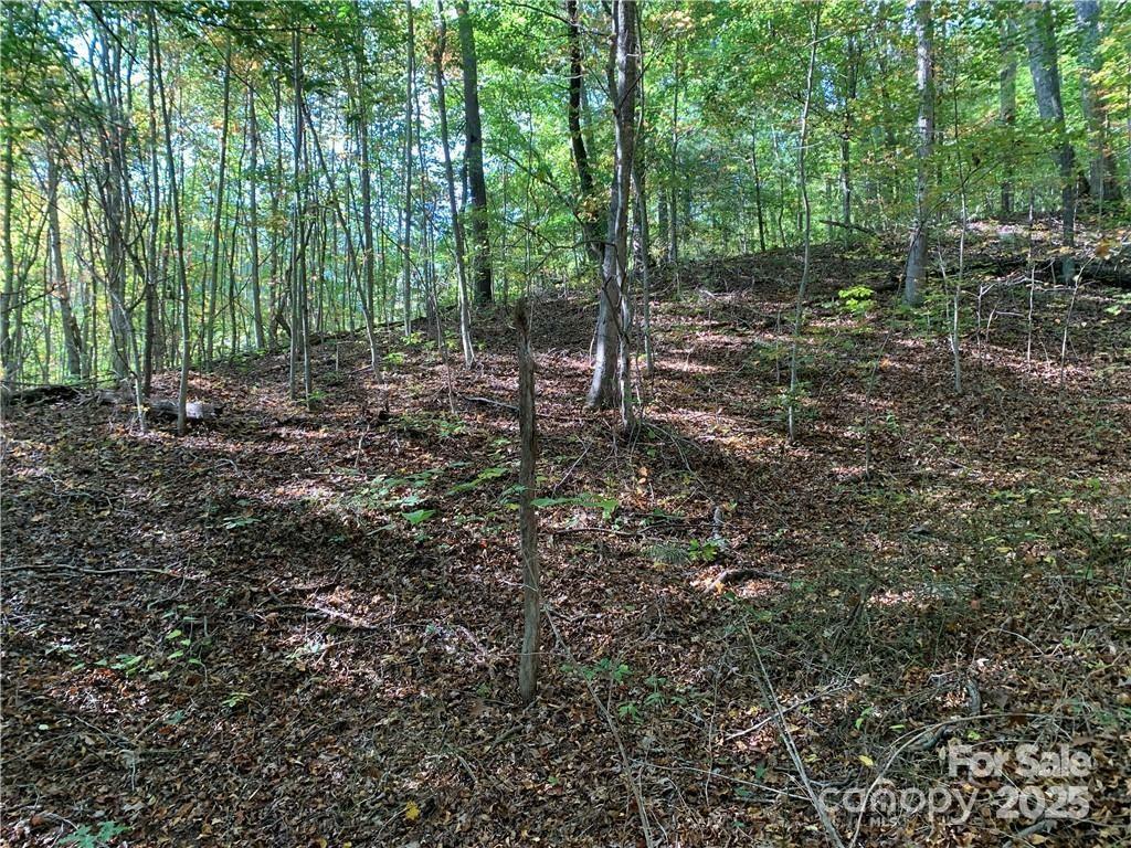 Property Photo: 107 Rice Road 9 NC 28806
