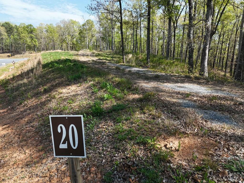 Property Photo: Lot 20 Blalock Mountain Road GA 30540