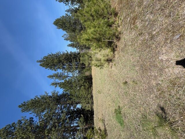 Property Photo:  Lot 3A River Run Loop  MT 59866 