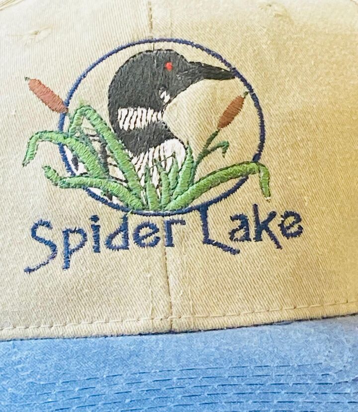 Property Photo:  25006 Great Pine Drive  MN 56467 