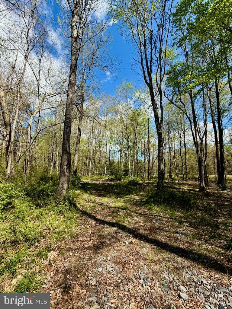 Property Photo: 70 Guinea Station Road VA 22580