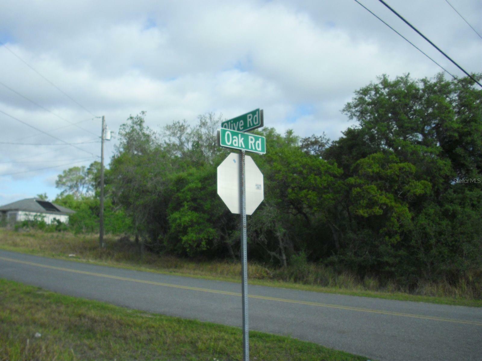 Property Photo:  Lot 8 Olive Drive  FL 34472 
