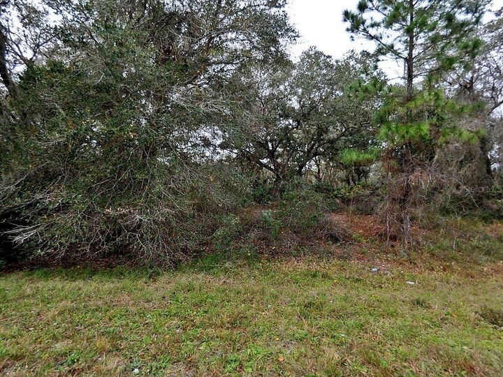 Property Photo:  Banger Lane  FL 34291 