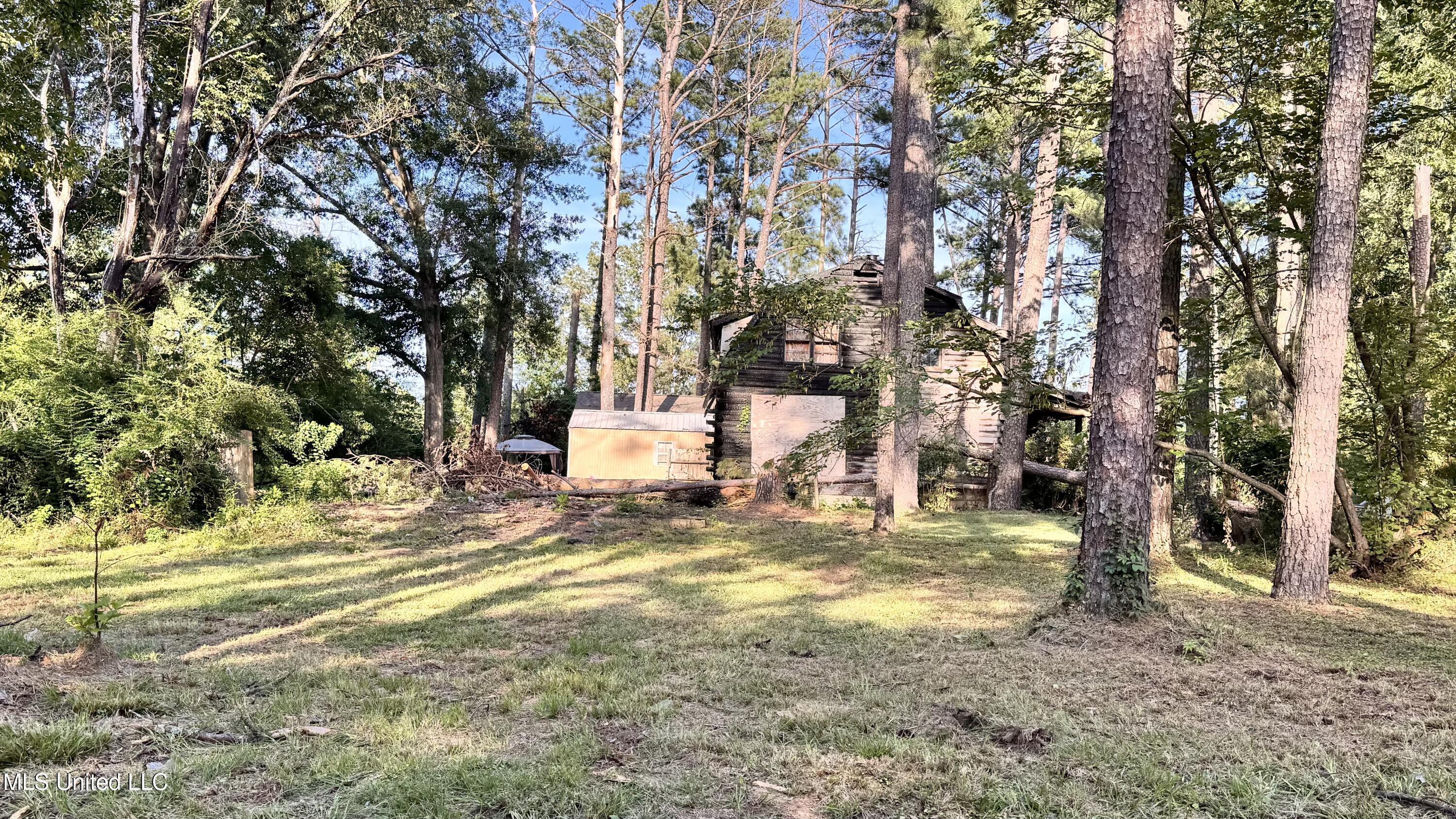 Property Photo: 1414 Cherrie Avenue MS 39212