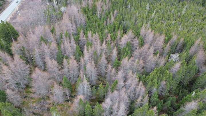 Property Photo:  Lot 395 Highway  NS B0E 3M0 