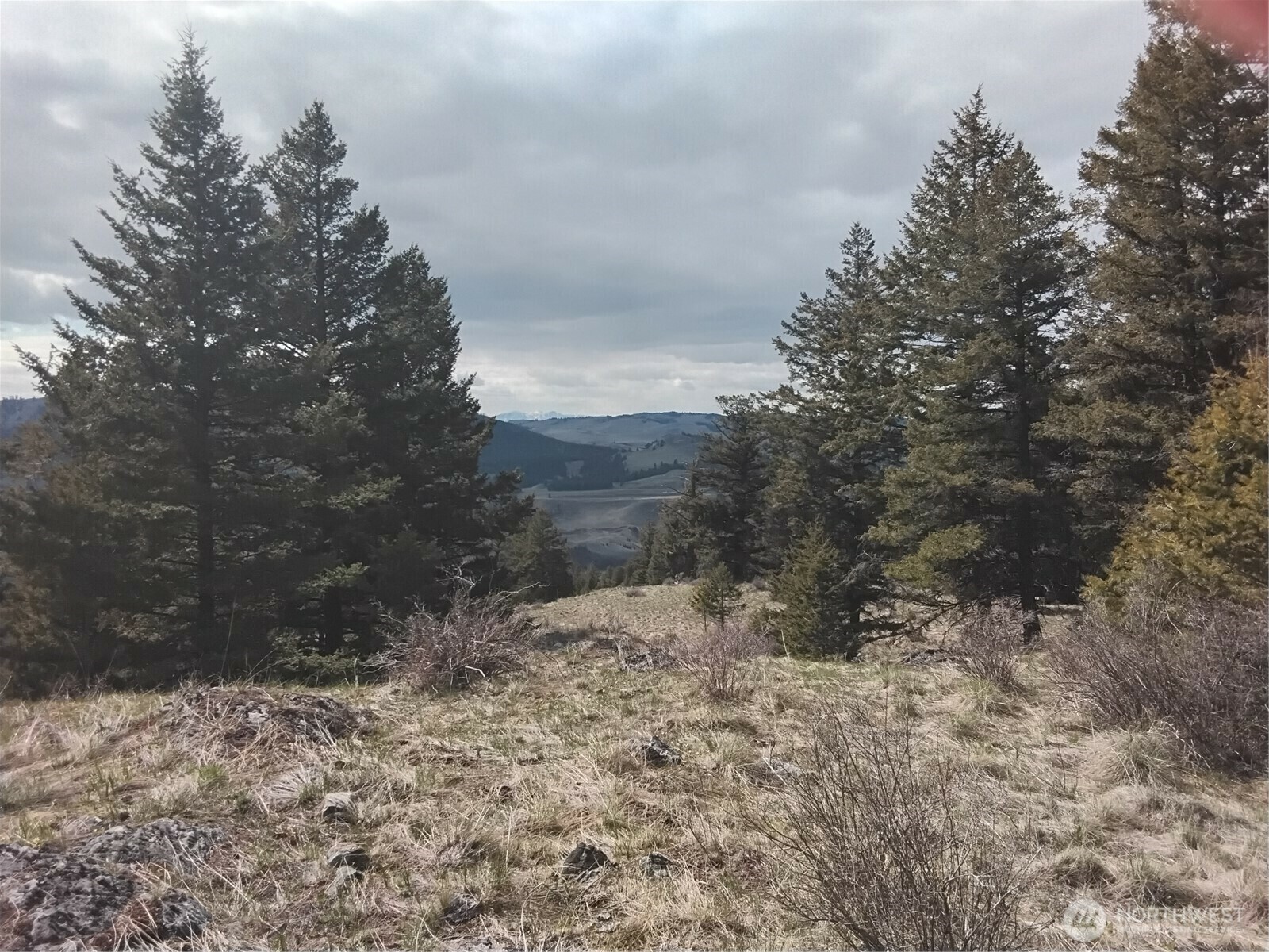Property Photo: 26 Mule Deer Ridge Road WA 98844