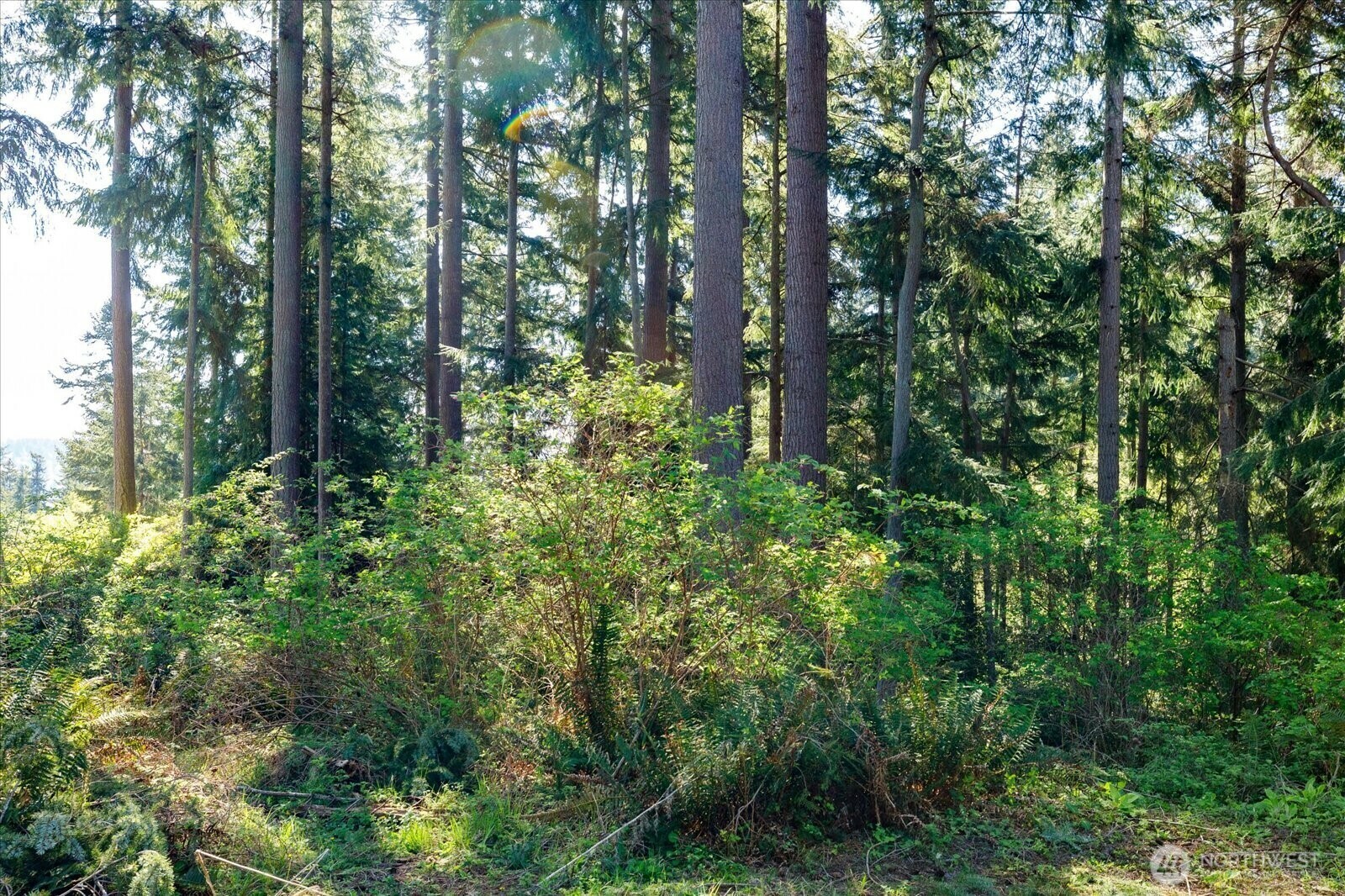Property Photo: 0 Xxx Patos Lane WA 98236