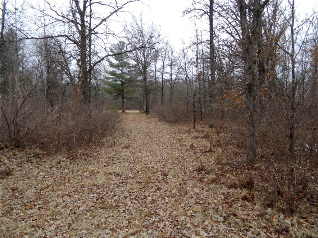 Property Photo: Tbd E Baldwin Ave WI 54873