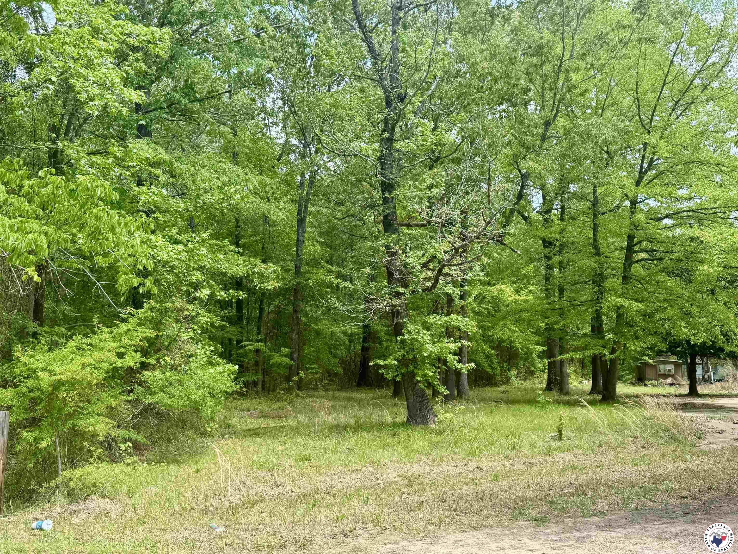 Property Photo:  235 Tomahawk  TX 75501 