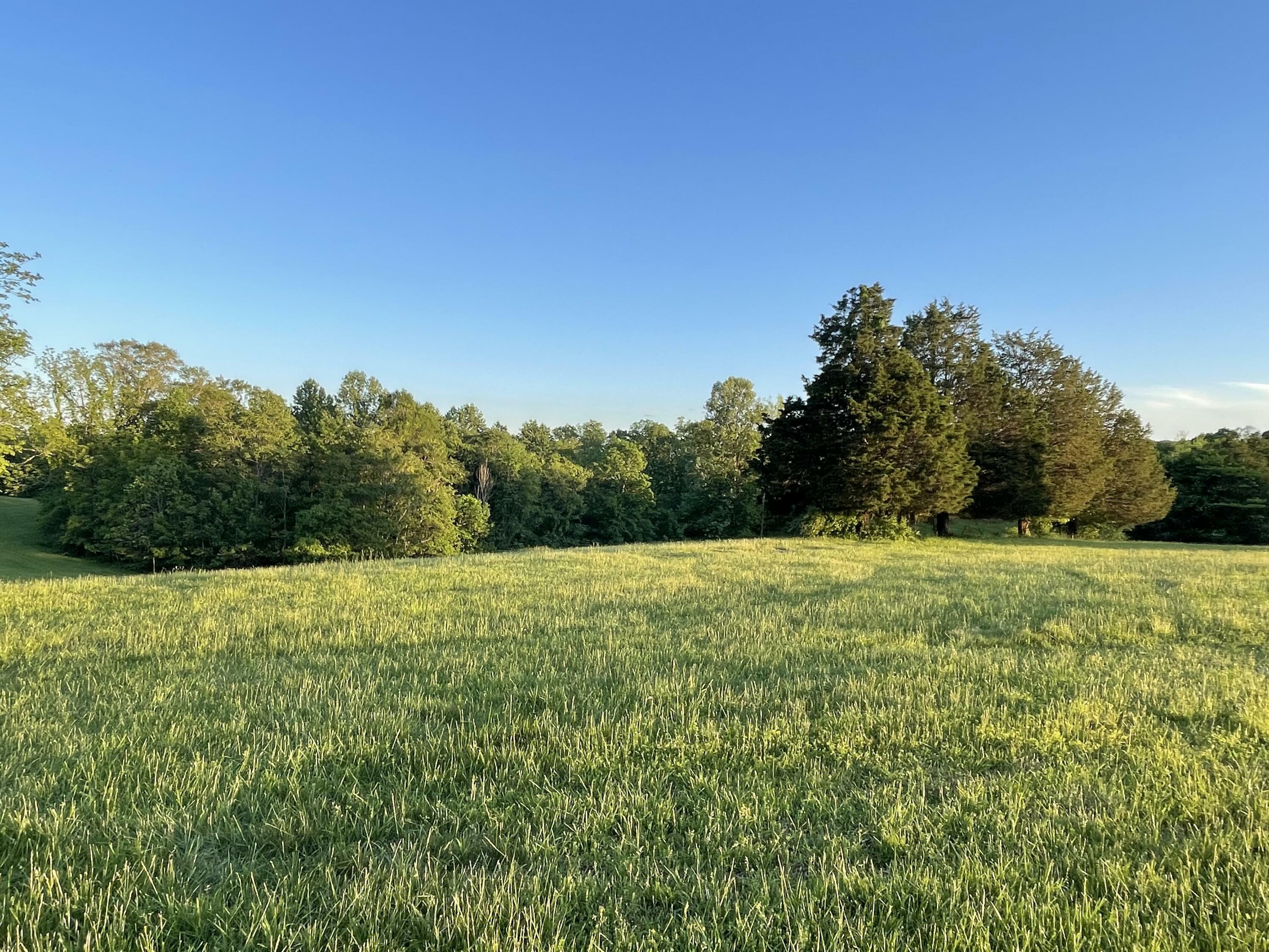 Property Photo: Lot 20 Parks Ridge KY 42642