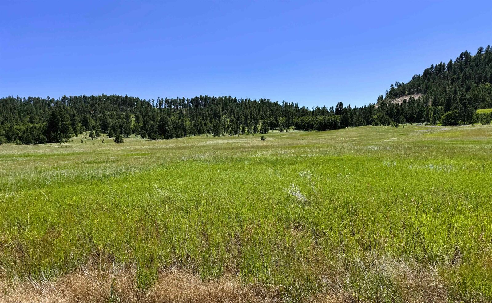 Property Photo:  E1 Soaring Eagle Road  WY 82720 