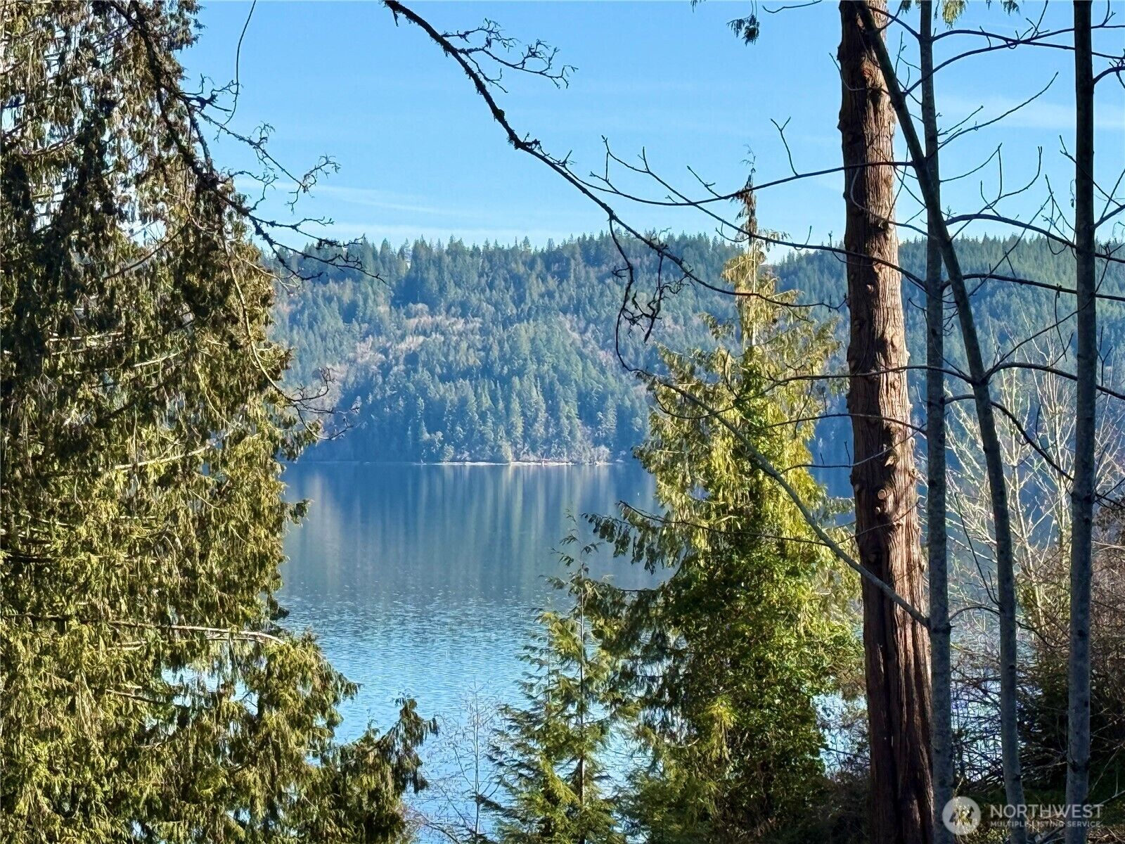 Property Photo:  145 N Shar Lane  WA 98555 