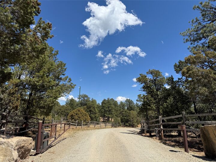 Property Photo:  43 Silver Feather Trail  NM 87552 