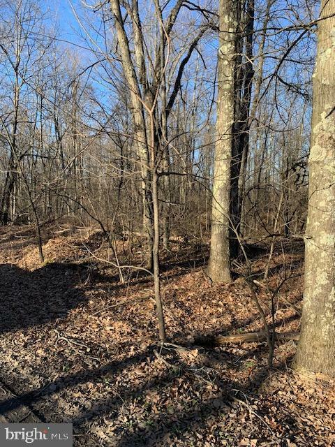 Property Photo:  0 Little Wolf Road  PA 16829 