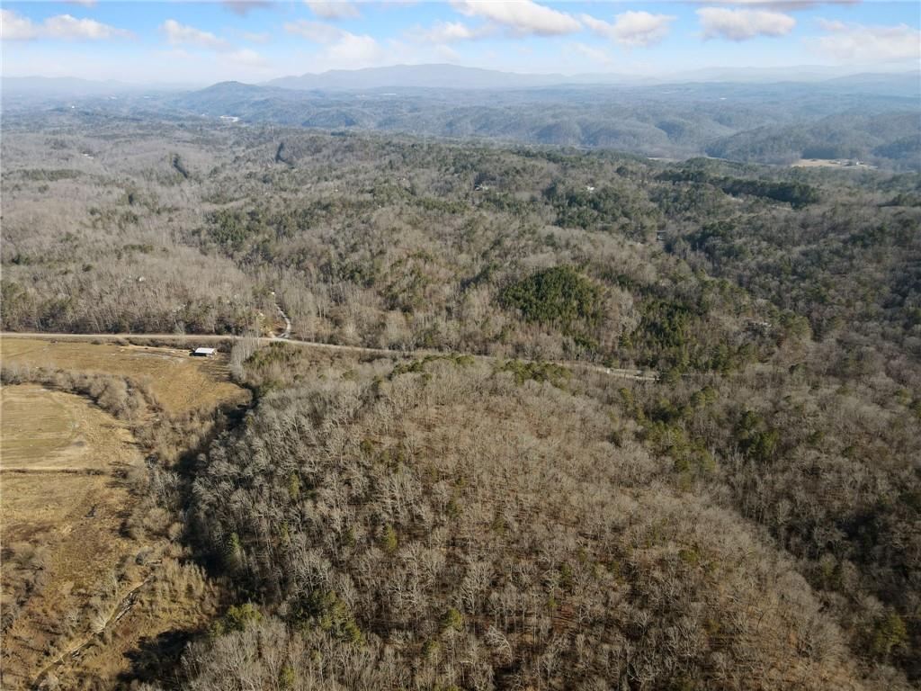 Property Photo: 38 Ac Whitestone Road GA 30175