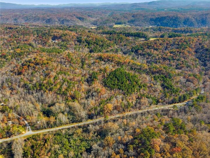 Property Photo:  38 Ac Whitestone Road  GA 30175 