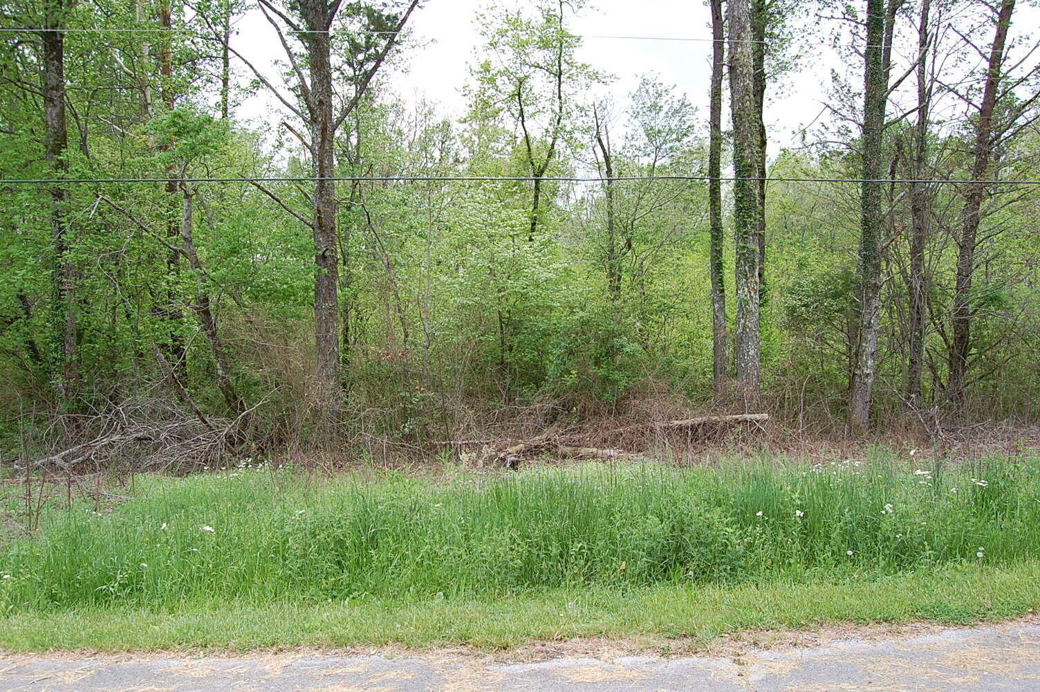 Property Photo: 67 51st Avenue TN 37339