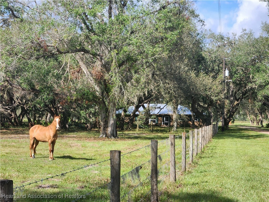 Property Photo: 203 Boyer Street FL 33960