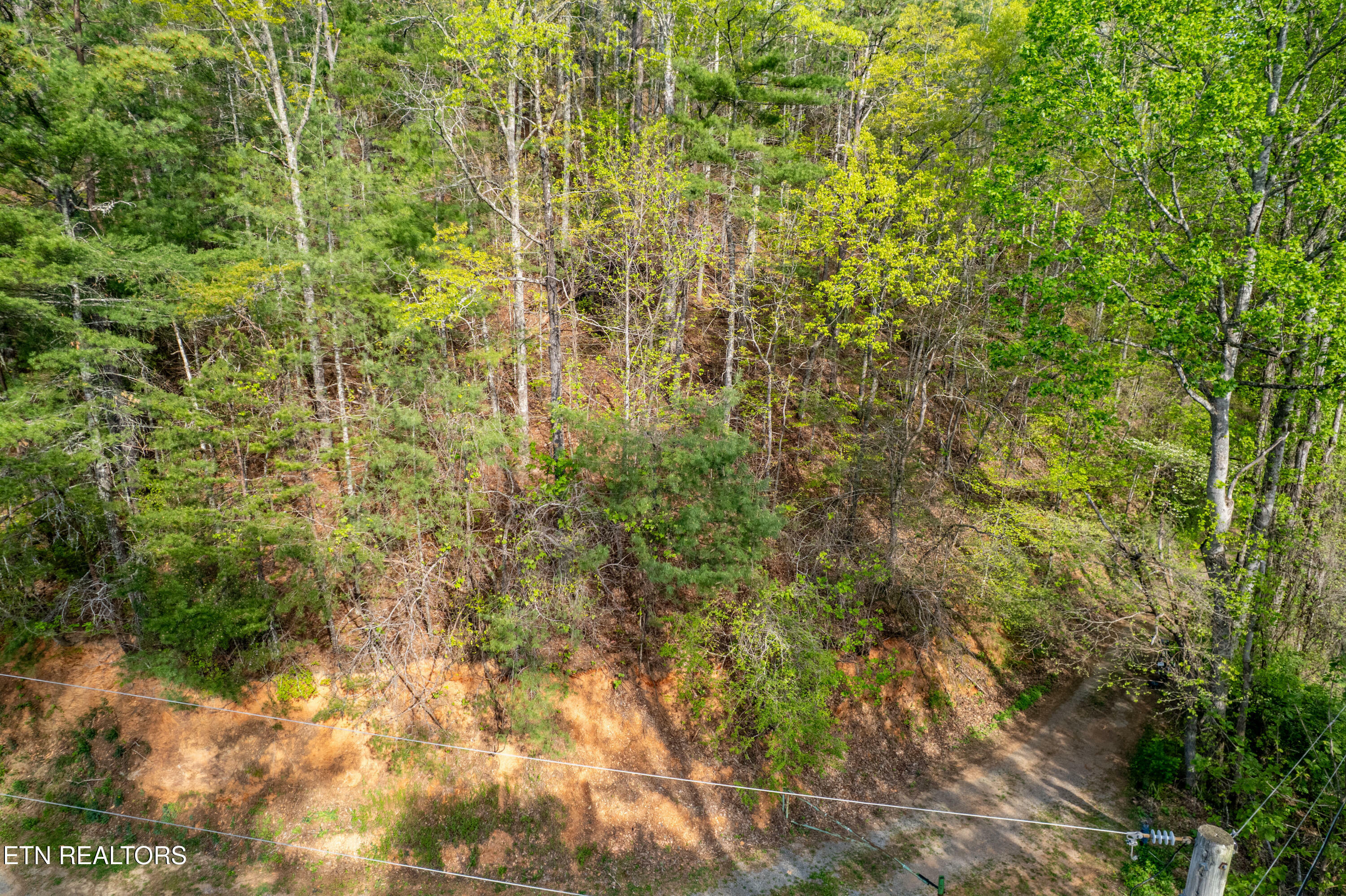 Property Photo: 240 Mt. Luke Rd TN 37882