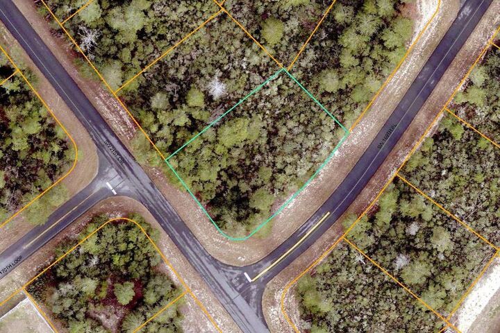 SW 21st Circle  Ocala FL 34473 photo