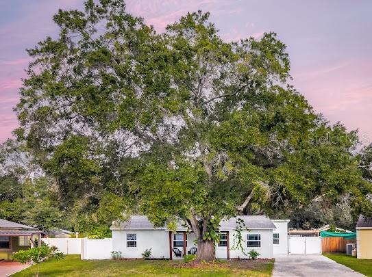 Property Photo: 4201 S Renellie Drive FL 33611
