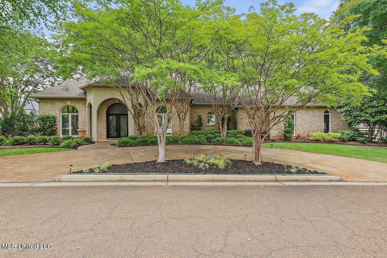 550 Heatherstone Court  Ridgeland MS 39157 photo