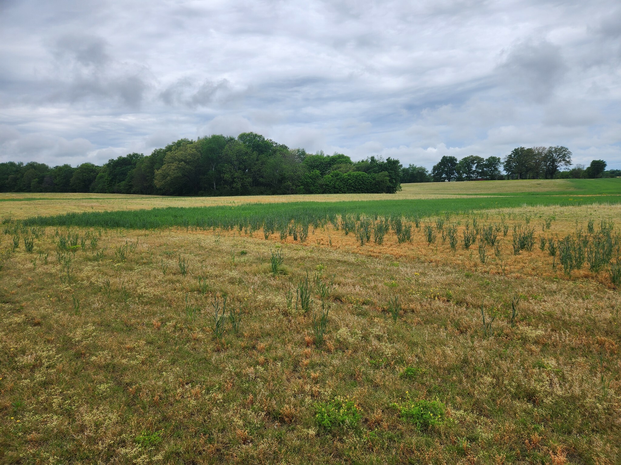 Property Photo: 3249 Fredonia Rd TN 37355