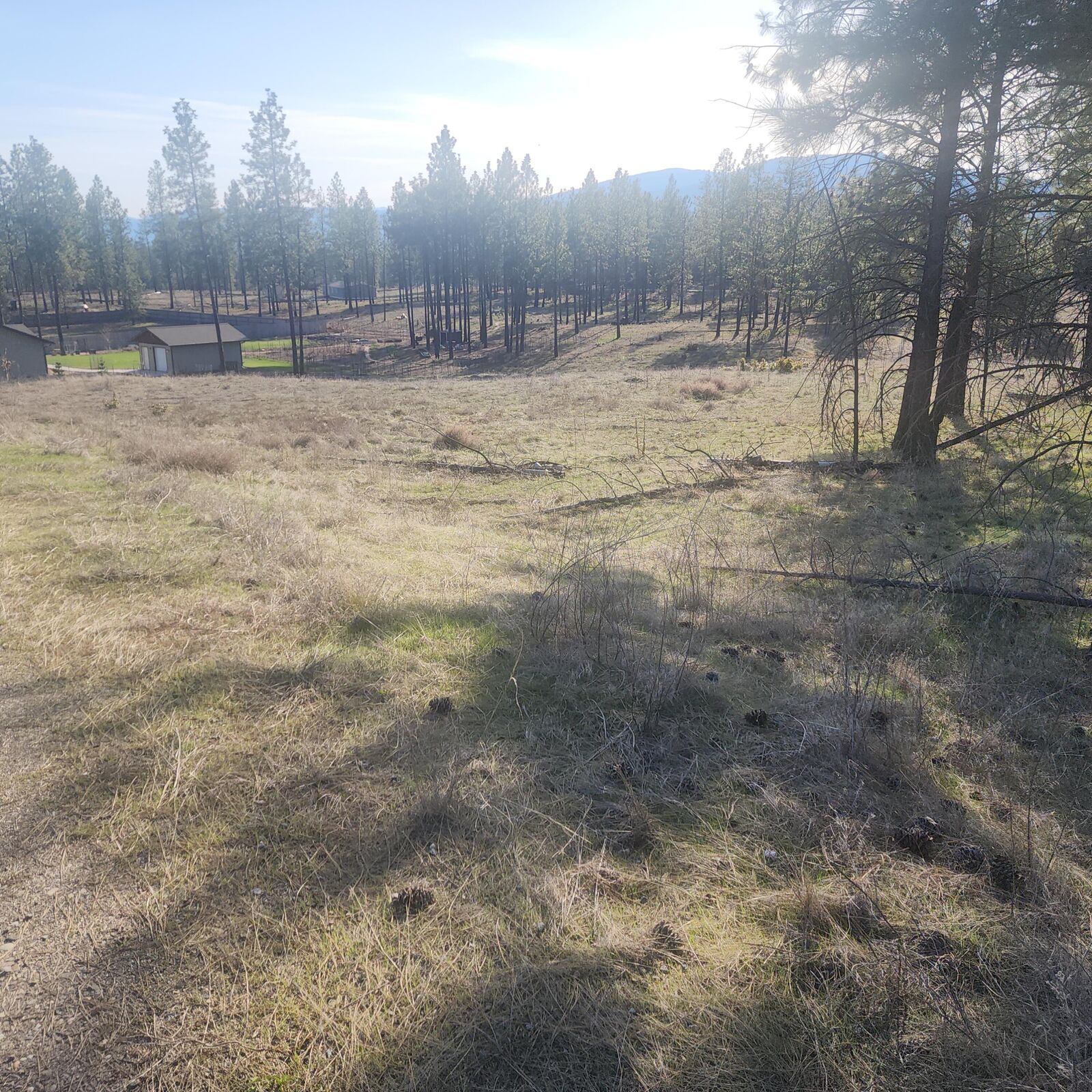 Property Photo: 1315 Inez Way WA 99141