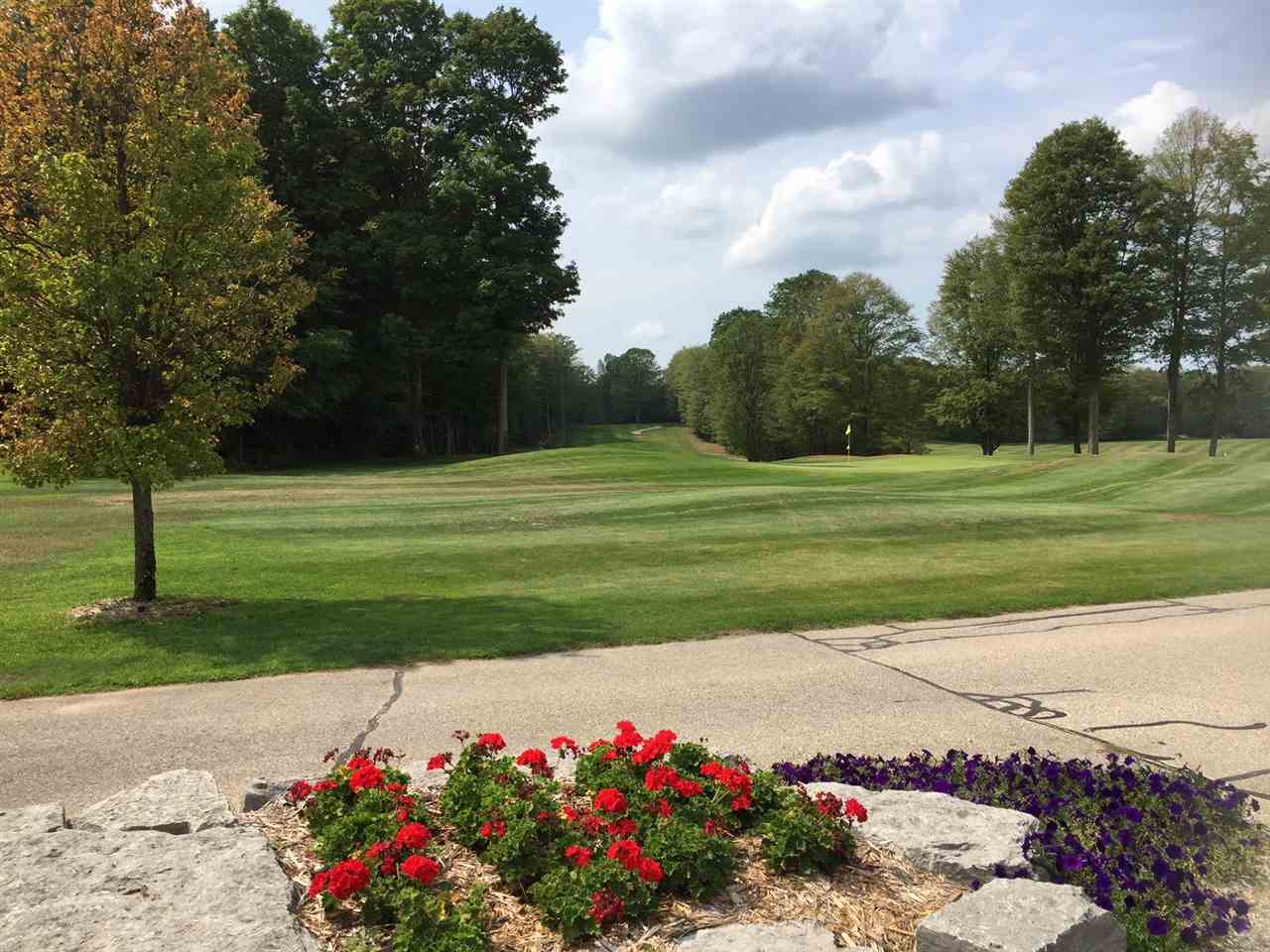 1975 + 1995 Clubhouse  Harbor Springs MI 49740 photo