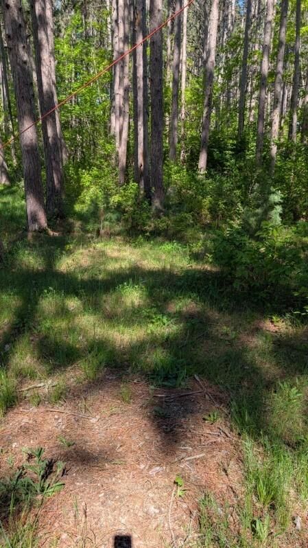 Property Photo:  3823 County Road 17  MN 56472 