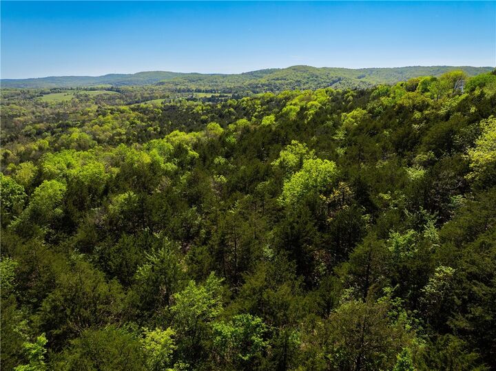 Property Photo: 401 Cr 246 Street AR 72616