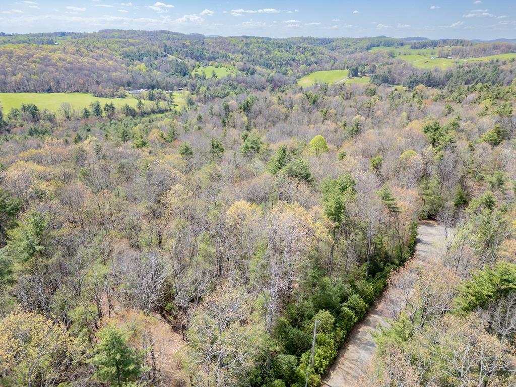 Property Photo: Tbd Green Stone Ln VA 24333