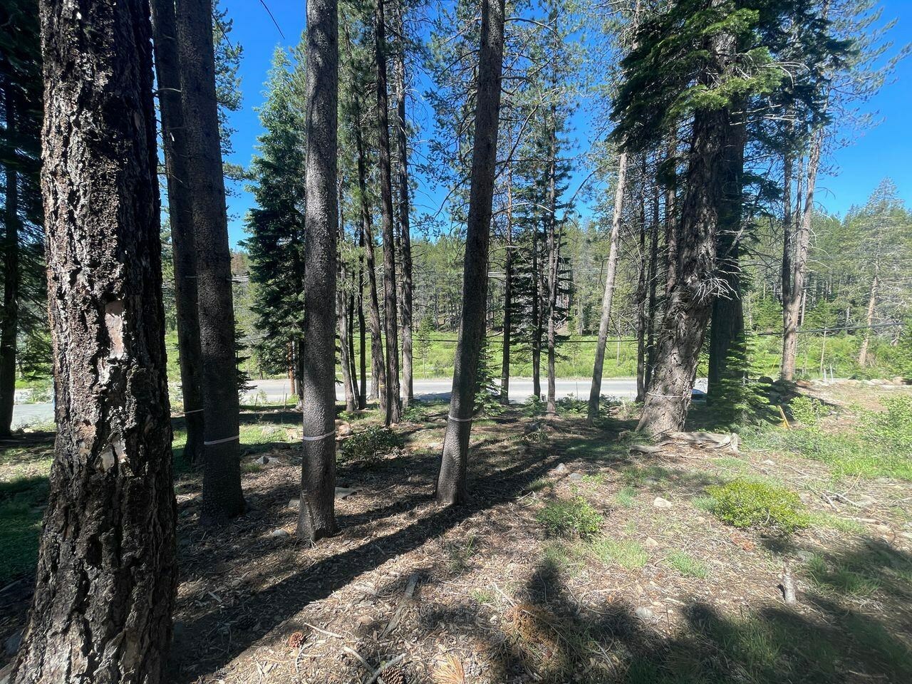 Property Photo:  12173 Northwoods Boulevard 12173 Northwoods Blvd  CA 96161 