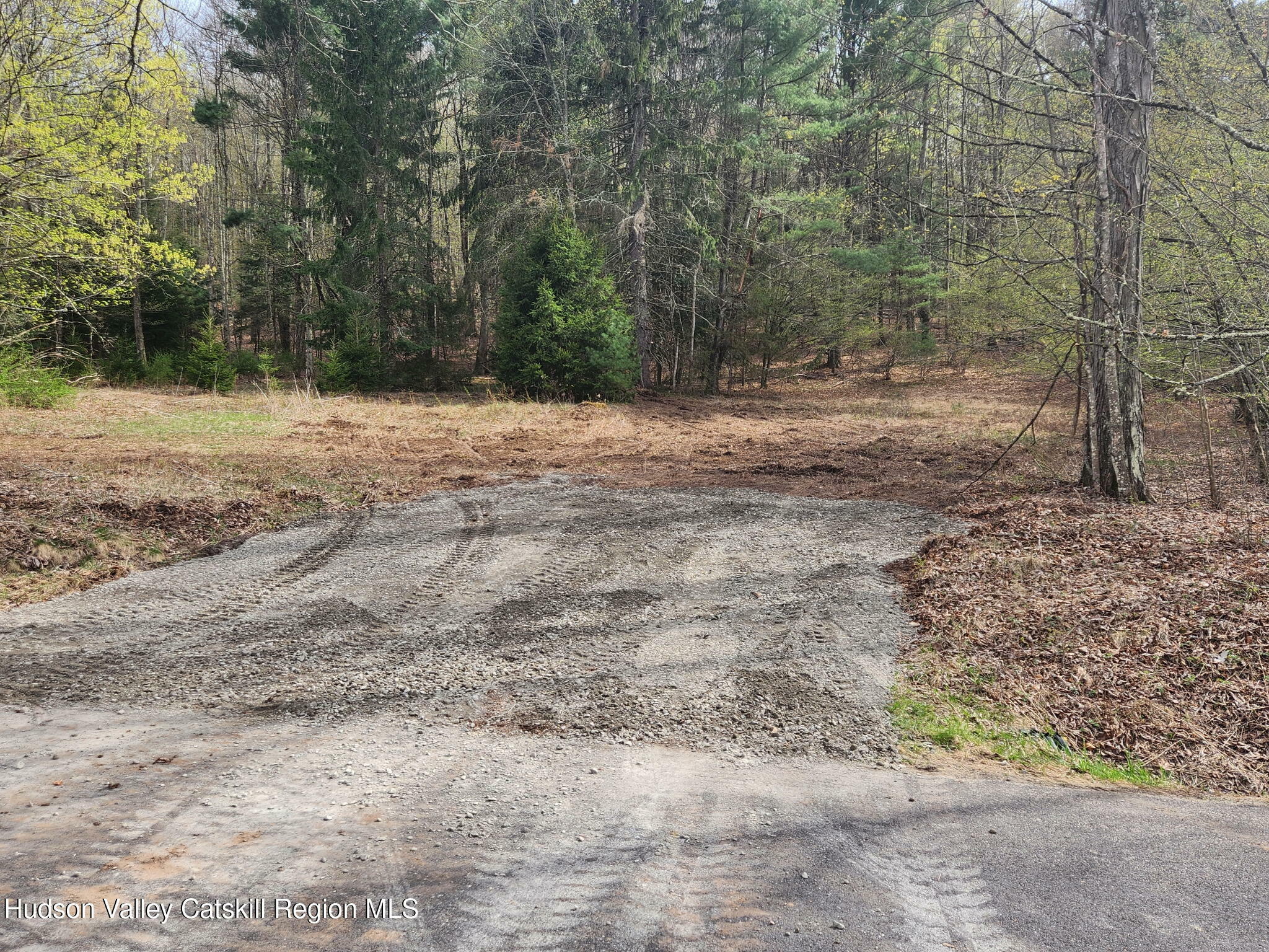 Property Photo: 44 Oak Ridge NY 12435