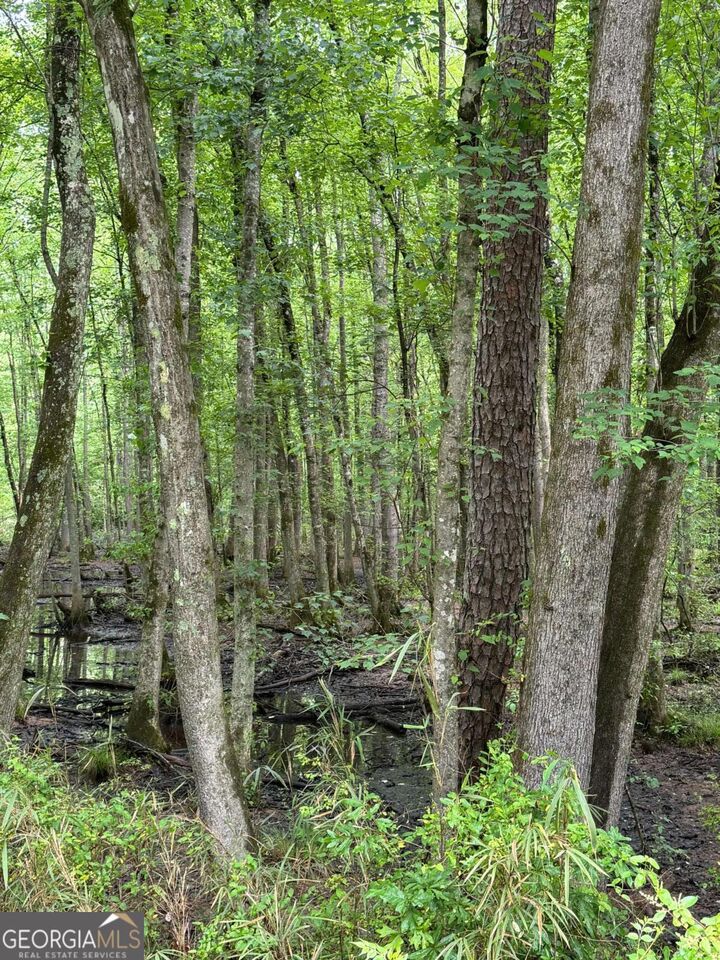 Property Photo: 0 Friendship Church Road SW GA 30064