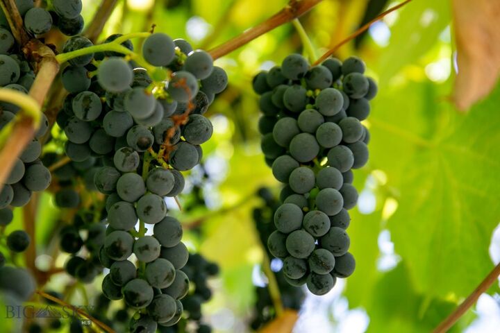 Property Photo: 726 US Highway 10 West W MT 59047