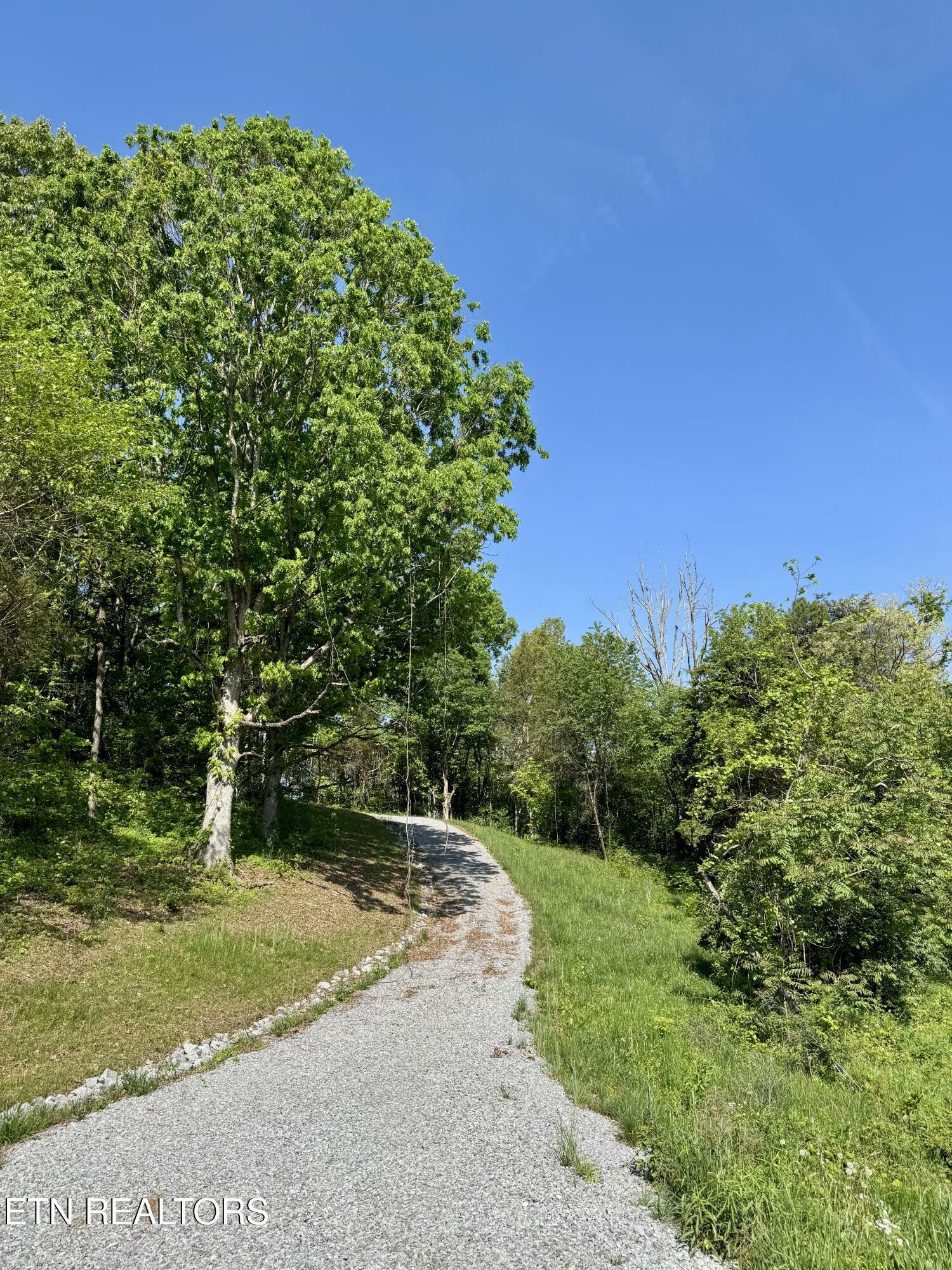 Property Photo: Carroll Rd TN 37813