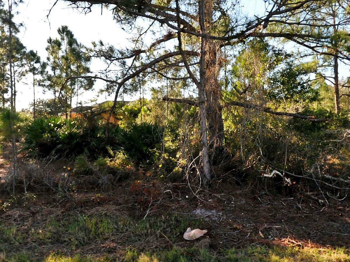 Property Photo: Schoen Street FL 34291
