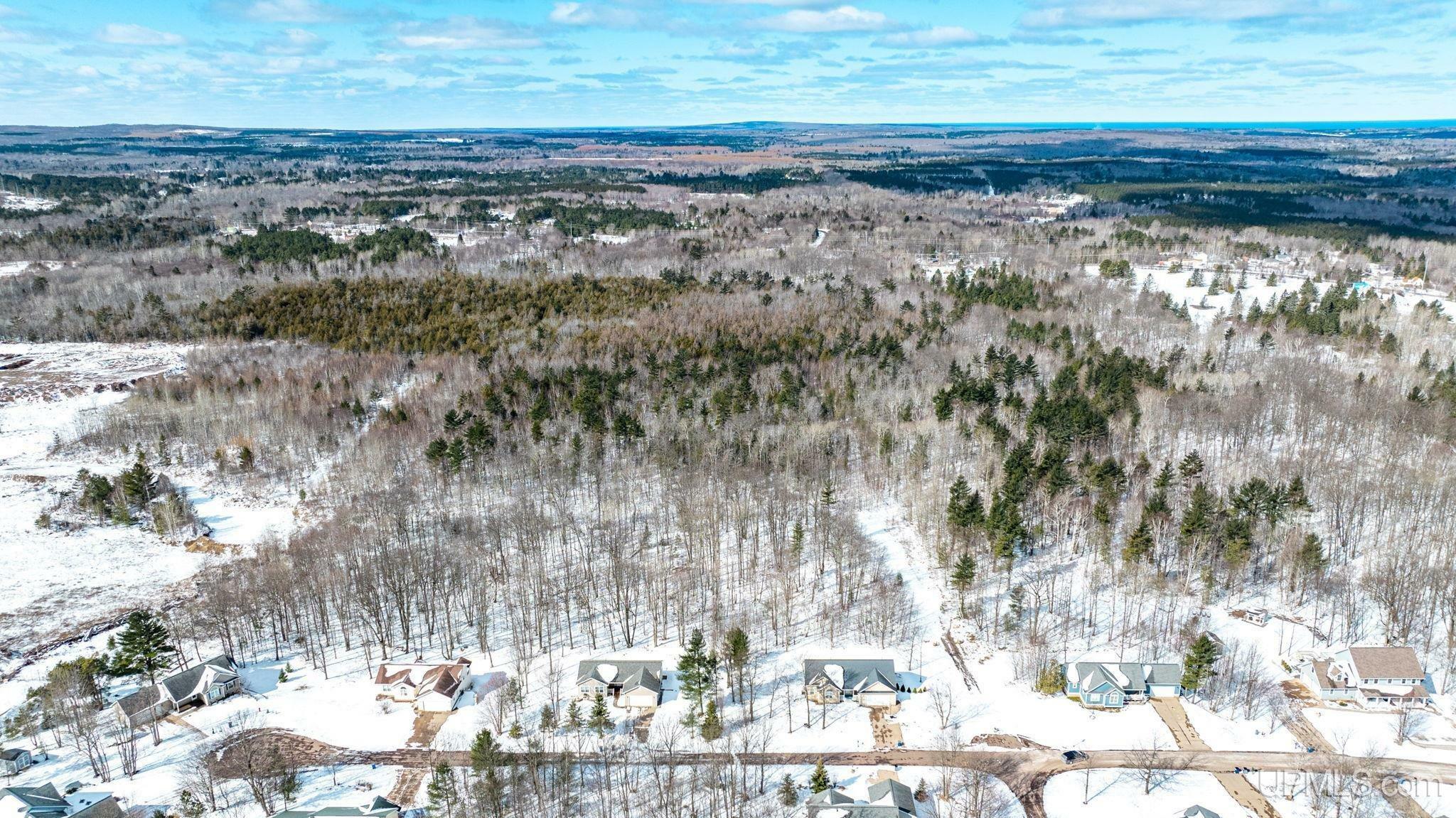Property Photo: Tbd Oak Ridge (Off) Lane MI 49931