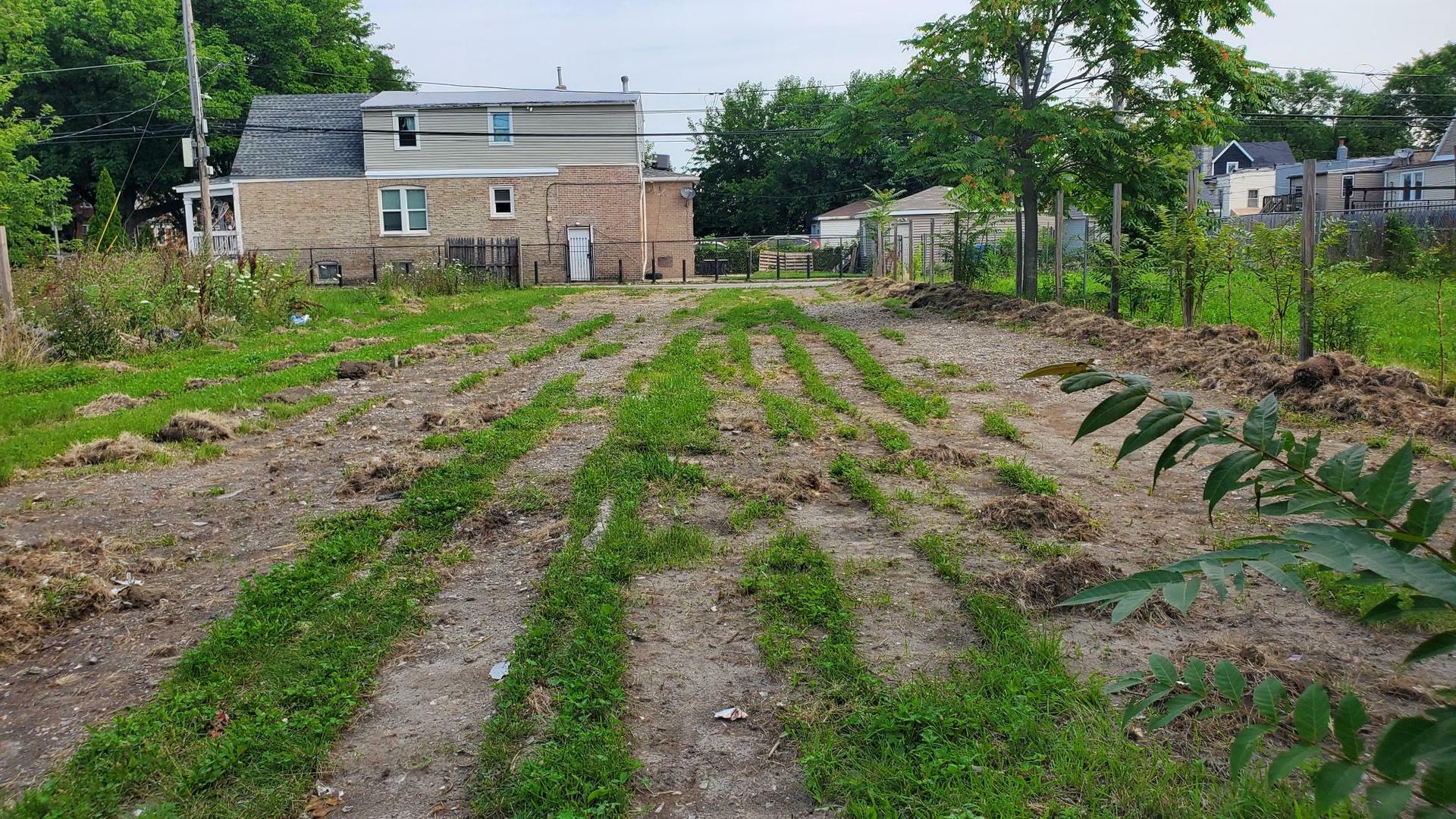 Property Photo:  3516 W Chicago Avenue  IL 60651 