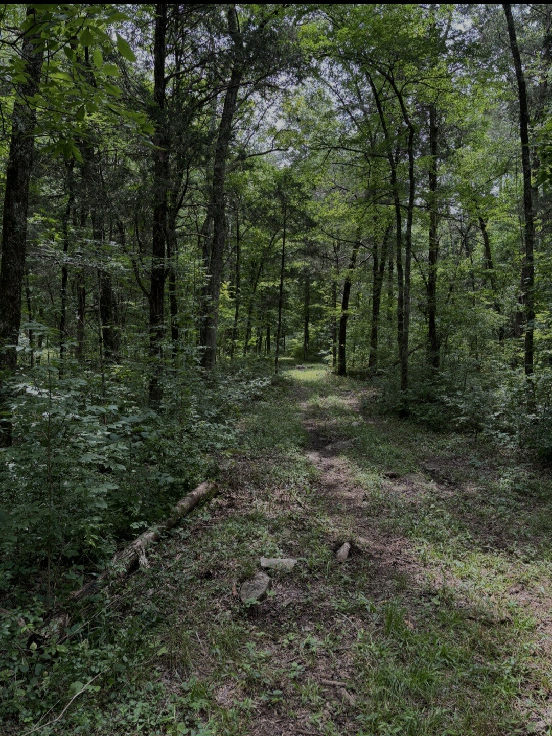 Property Photo: 2971 Ownby Rd TN 37091