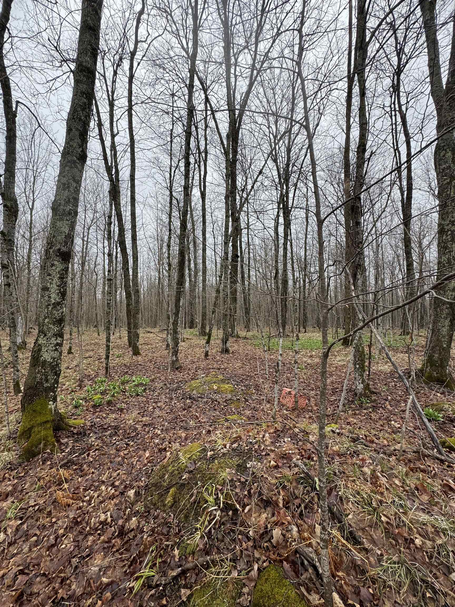 Property Photo: 24940 Skypala Road WI 54527
