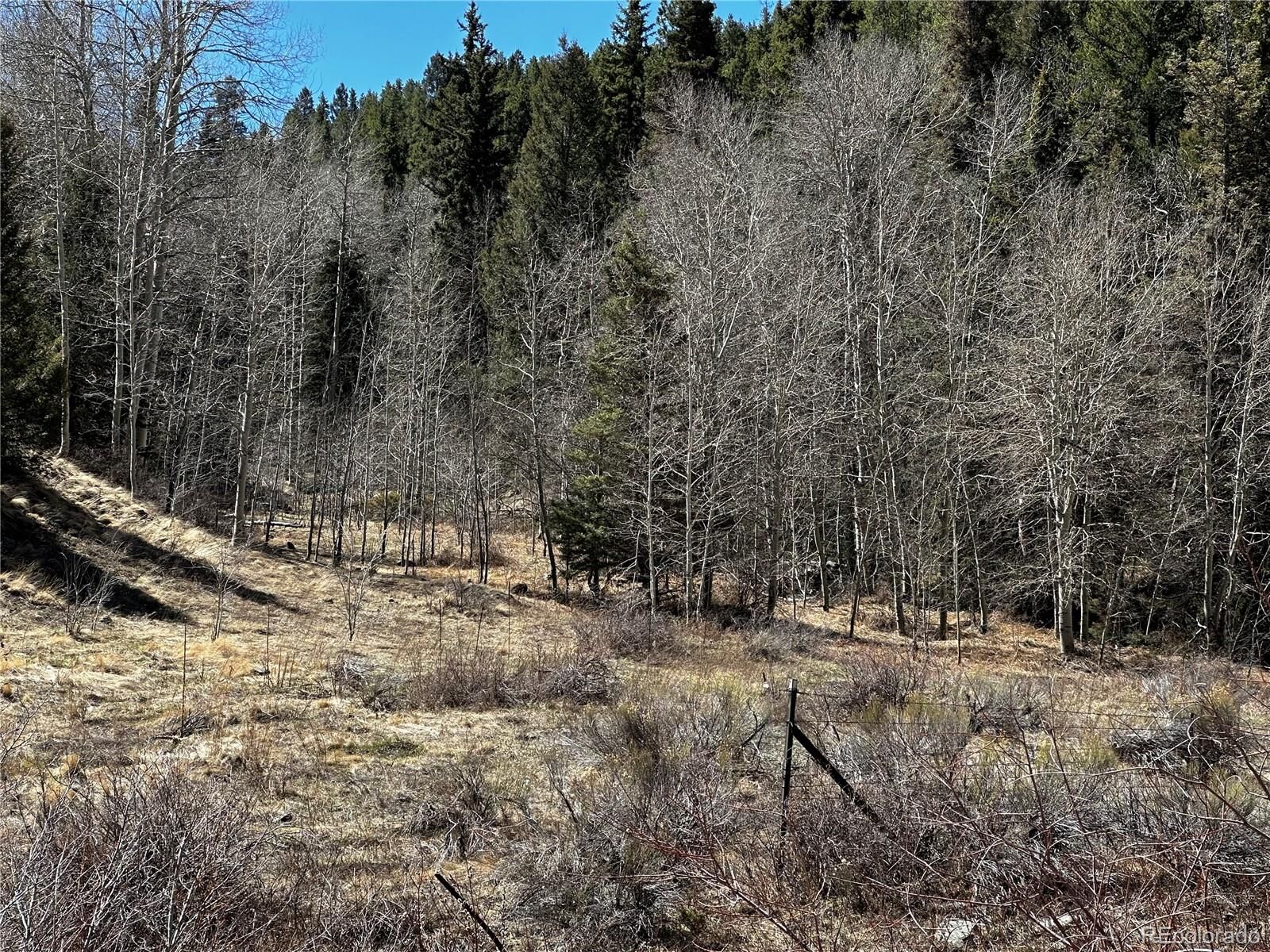 Property Photo:  Lot 223 Hwy 160  CO 81133 