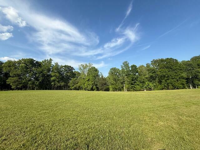 Property Photo: