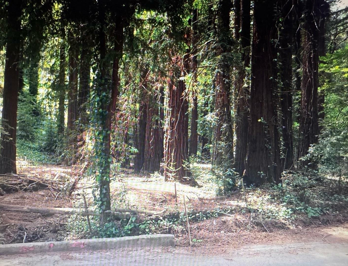 Property Photo: 0 Grove Street CA 95030