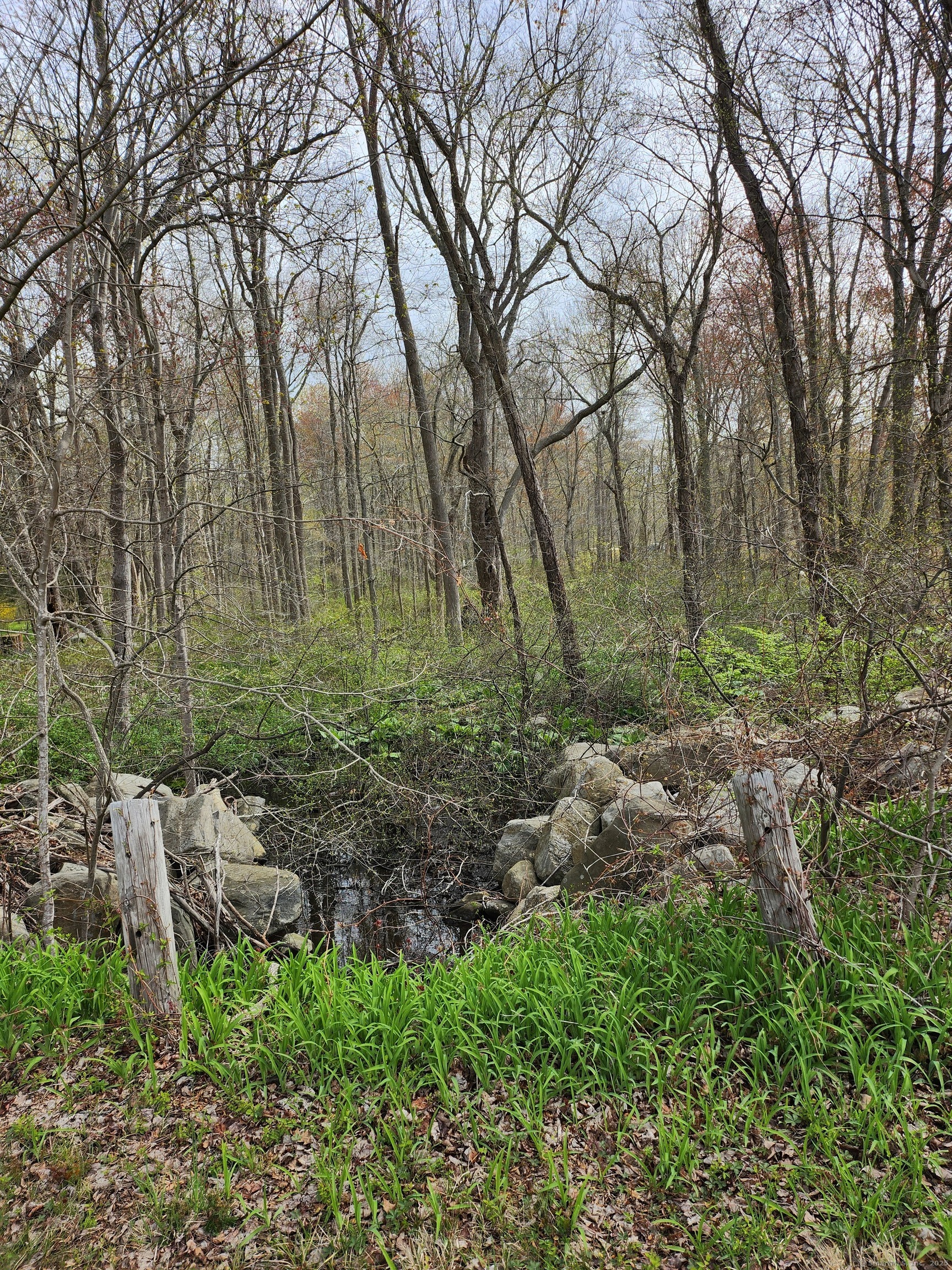 Property Photo: Westbrook Road CT 06417