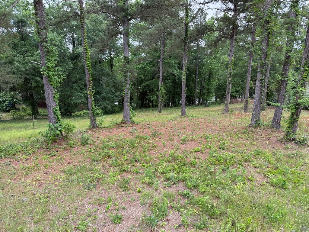 Property Photo: 0 Powell Trace AL 36310