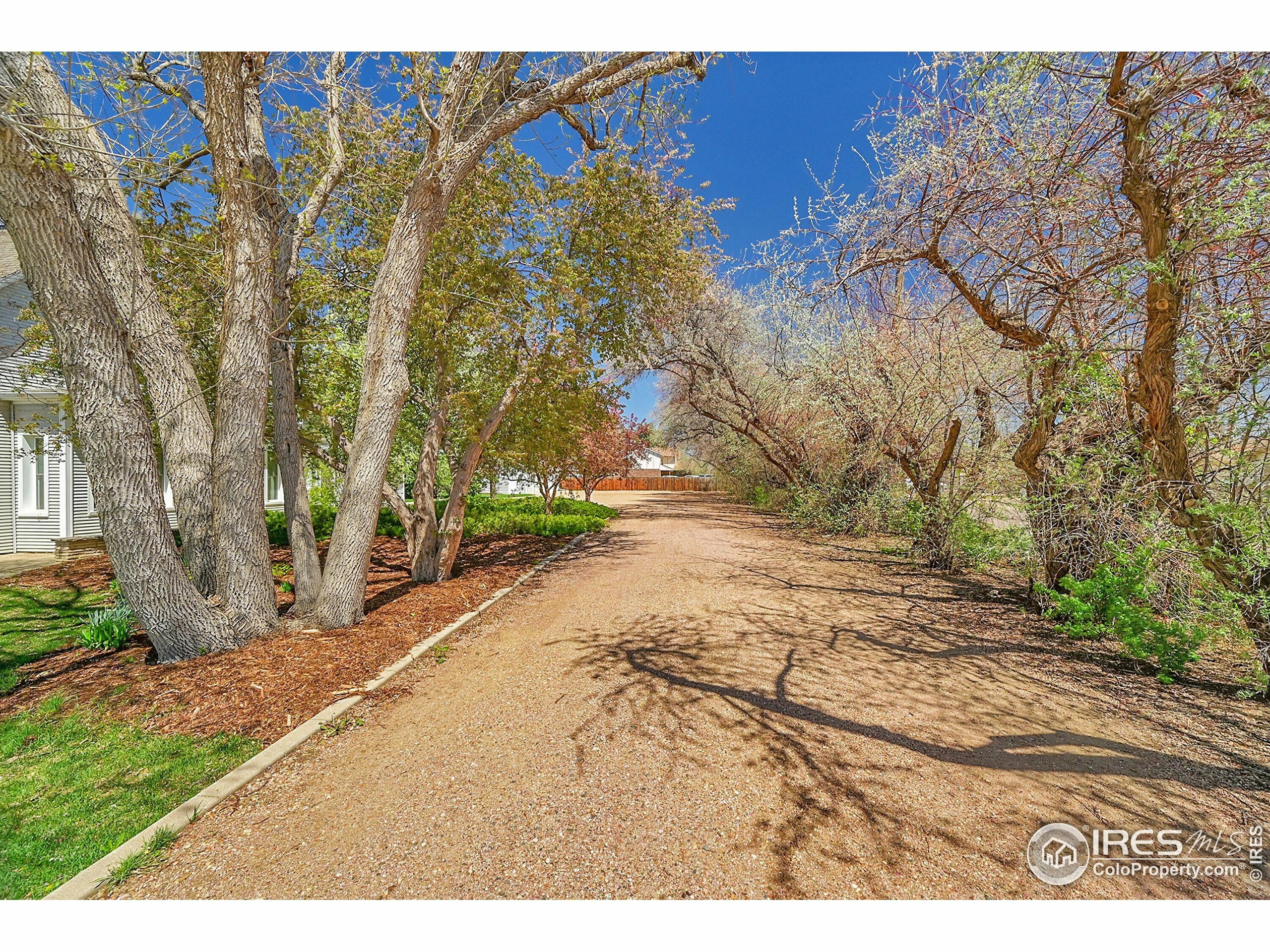 Property Photo: 807 Collins St CO 80615