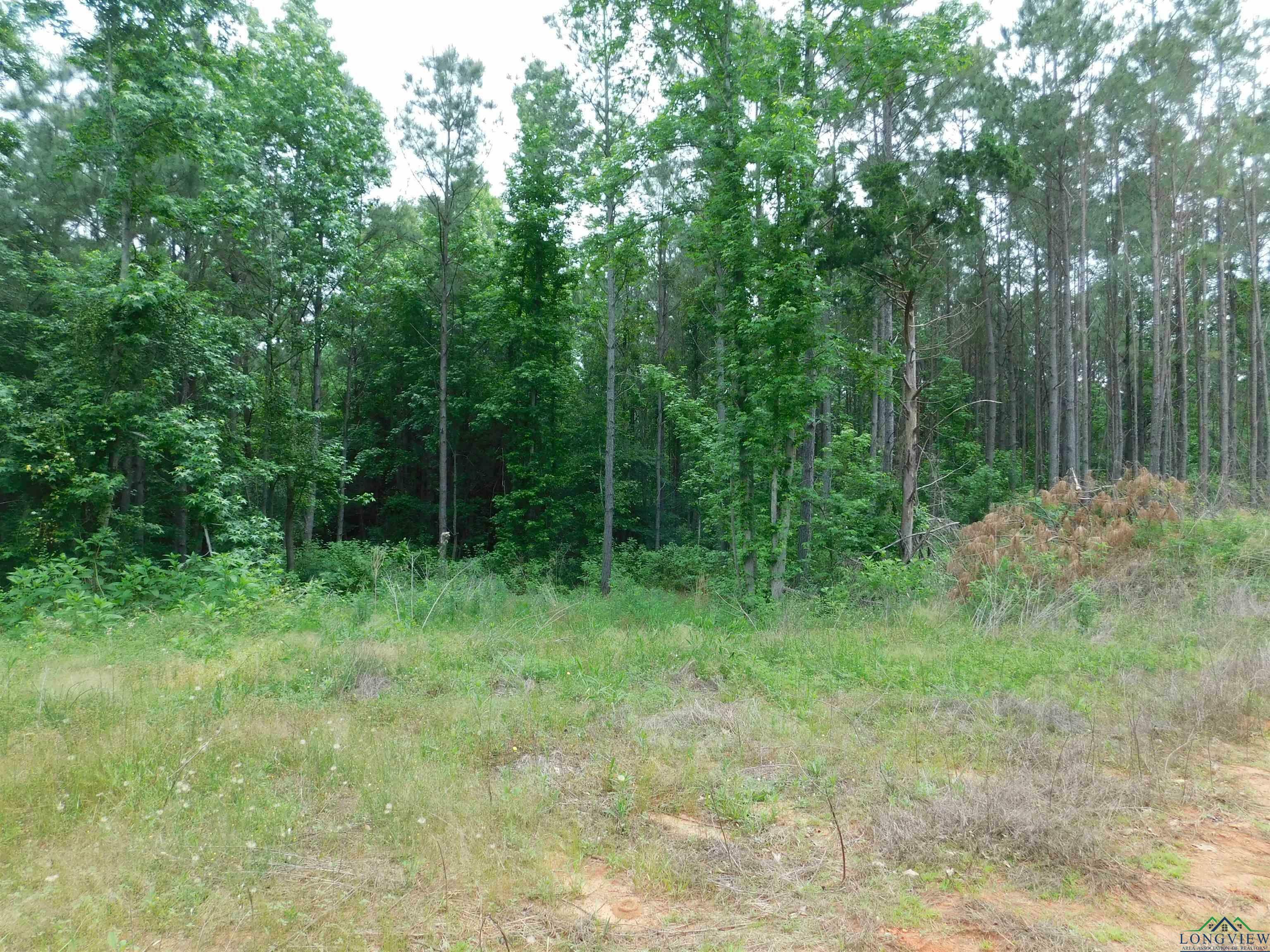 Property Photo: Tbd Megan Mills Rd TX 75644
